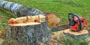 Best Tree Preservation Services  in Burton, MI